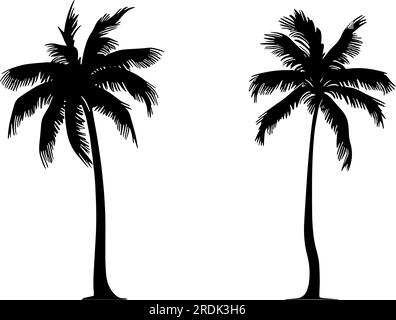 Set of two Palm tree silhouette. Vector illustration Stock Vector