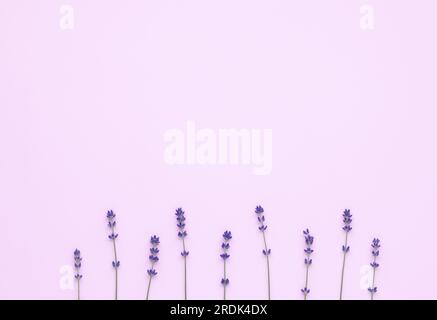 Bouquet of purple lavender arranged on pink table. Top view, flat lay mock up, copy space. Minimal background concept. Dry violet flowers, floral comp Stock Photo