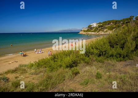 Platja Llarga (long beach) in Salou, with the natural dunes of the coastline with Mediterranean vegetation, on the Costa Daurada coast Tarragona Spain Stock Photo