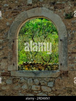 contrada san Alberto, remains of an ancient building with the window open on the surrounding nature Stock Photo
