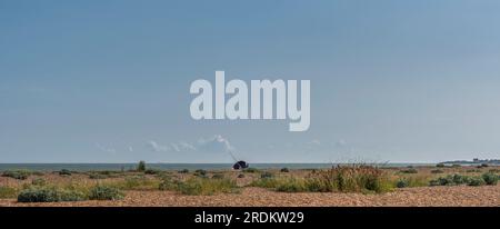 panorama view of shingle beach with solitary fisherman in centre of image, bird overhead and flowers and plants in foreground under blue sky Stock Photo