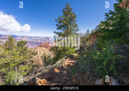 Hiking the tanner trail in grand canyon national park, arizona, usa Stock Photo