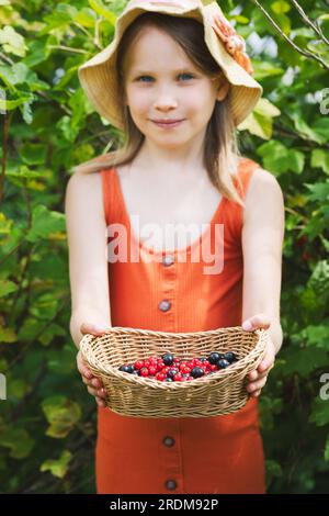 Little girl demonstrates wicker basket with collected homegrown red and black currant berries shallow focus Stock Photo