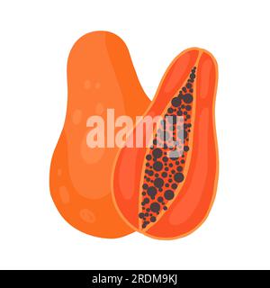 Vector clipart papaya on white background. Hand drawn flat fruit. Juicy tropical food. Illustration for stickers, menus and recipes Stock Vector