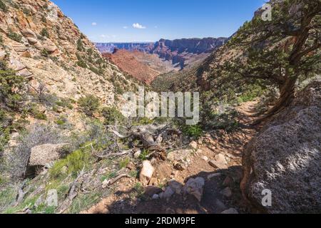 Hiking the tanner trail in grand canyon national park, arizona, usa Stock Photo