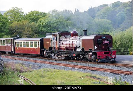 Steam train approaching Beddgelert railway station on the narrow gauge Welsh Highland Railway in North Wales.UK Stock Photo