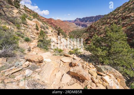 Hiking the tanner trail in grand canyon national park, arizona, usa Stock Photo