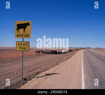 Australia. Queensland. Winton. Cattle muster at road crossing. Stock Photo