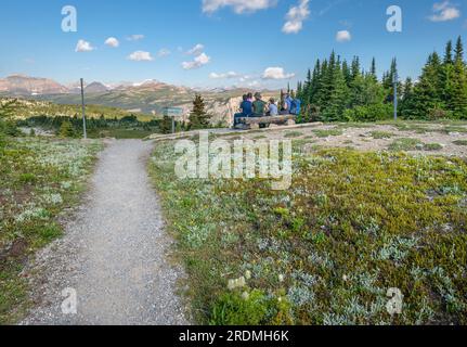 Log bench in Sunshine Meadows with a mountain valley view of Banff ...