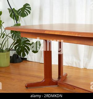 Beautiful late-century extended teak dining table. Vintage wooden furniture. Interior scene with luxurious white curtains and houseplants. Stock Photo