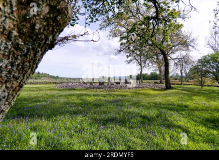 Temple Wood South Cairn, Kilmartin Glen Neolithic Site, Kilmartin, Argyll, Scotland Stock Photo