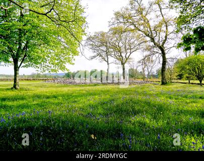 Temple Wood South Cairn, Kilmartin Glen Neolithic Site, Kilmartin, Argyll, Scotland Stock Photo