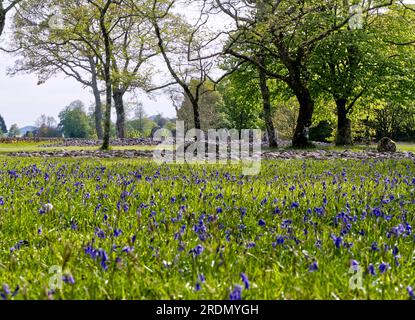 Temple Wood North & South Cairn, Kilmartin Glen Neolithic Site, Kilmartin, Argyll, Scotland Stock Photo