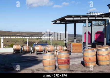Oak wine barrels at the cellar on La Vierge Wine Farm, Hemel-en-Aarde, Hermanus, Overberg, Western Cape Winelands, South Africa Stock Photo