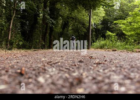 Low angle view on an asphalt road leading to an unknonwn point in the forest. Back view full body of male hiker walking. Selective focus. Copy space. Stock Photo