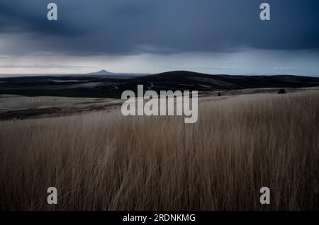 A rainy end to a November day in the Palouse Country, Steptoe Butte is on the horizon. Whitman County, Washington, USA. Stock Photo