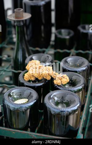 Old equipments for making champagne sparkling wine from chardonnay and pinor noir grapes in grand cru village Oger, Champagne, France Stock Photo