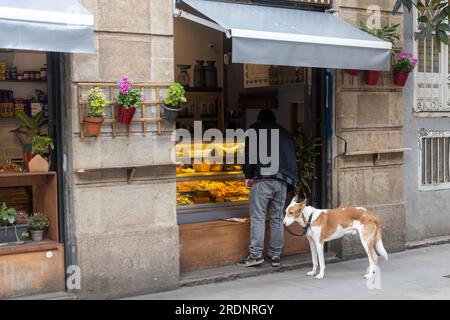 Barcelona, Catalonia, Spain - 29 March 2023: A man with a dog chooses food in a street Chinese food stall. Stock Photo