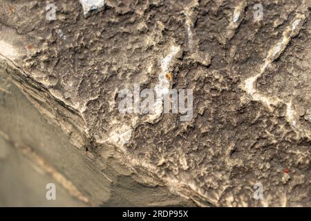 Close-up of rough, jagged rock surface with brown, gray, white and red colors - bottom left corner blurred Stock Photo