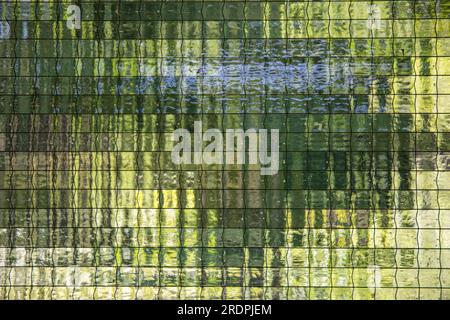 Green forest viewed through wire mesh glass Stock Photo