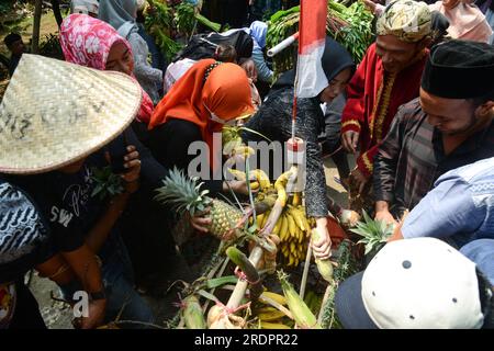Bogor, Indonesia. July 23, 2023, Bogor, West Java, Indonesia: People scramble for blessed food produce crops during the earth alms ceremony in Bogor, West Java. Earth alms tradition is a traditional ritual that still being held by some communities in Java Island. This earth alms tradition is having different names in each region, but it has the same purpose either ways. Earth alms tradition is kind of an offering and thanksgiving to the Earth or God, for the bountiful of harvest. The harvest can be either come from the fields or fisheries. Credit: ZUMA Press, Inc./Alamy Live News Stock Photo