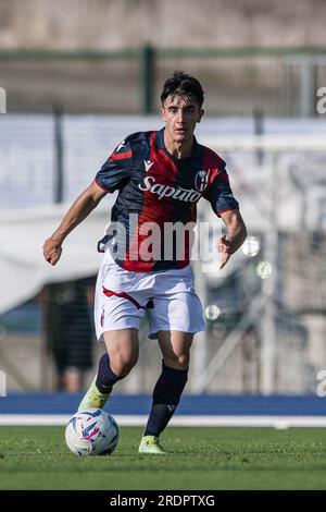 Players of Palermo FC pose for a team photo prior to the pre-season  friendly football match between Bologna FC and Palermo FC Stock Photo -  Alamy