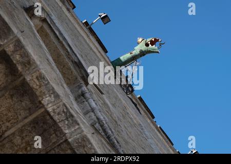 Rain gutter decorated with dragon gargoyle head on the Town Hall of Tallinn, the oldest town hall in the whole of the Baltic region and Scandinavia Stock Photo