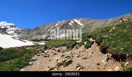 picturesque  mountain peaks and wildflowers on a sunny summer day along the hiking trail to blue lake, in the indian peaks wilderness area, colorado Stock Photo
