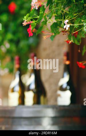 Wine bottles on wodden barrel, winemaking concept Stock Photo