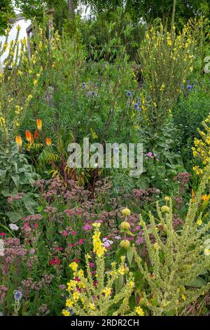 The Gravel Garden by garden designer Tom Massey supported by Sarah Mead, at Yeo Valley's The Organic Garden, in Blagdon, Somerset Stock Photo