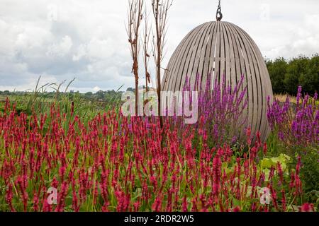 The Gravel Garden by garden designer Tom Massey supported by Sarah Mead, at Yeo Valley's The Organic Garden, in Blagdon, Somerset Stock Photo