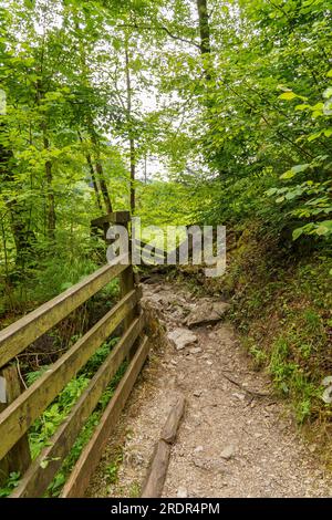 summer tiem in austria Stock Photo