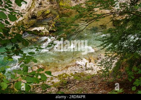 summer tiem in austria Stock Photo