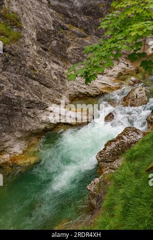 summer tiem in austria Stock Photo