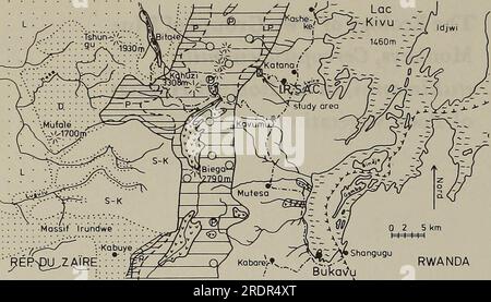 'The Ecology of arboreal folivores : a symposium held at the Conservation and Research Center, National Zoological Park, Smithsonian Institution, May 29-31, 1975' (1978) Stock Photo