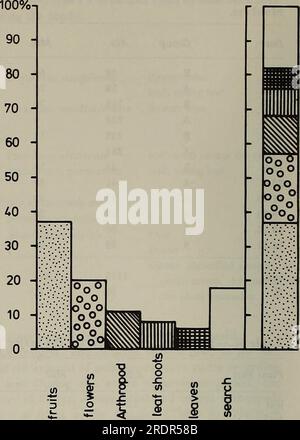 'The Ecology of arboreal folivores : a symposium held at the Conservation and Research Center, National Zoological Park, Smithsonian Institution, May 29-31, 1975' (1978) Stock Photo