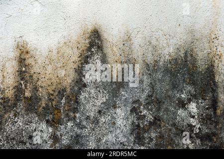 Texture of an old dirty cement wall as background Stock Photo