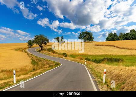 Road among summer ripe fields and cherry trees Stock Photo - Alamy