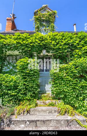 Vine covered small house with wide stone entrance steps on the Rue Bourdillet,Loches, Indre-et-Loire (37), France. Stock Photo