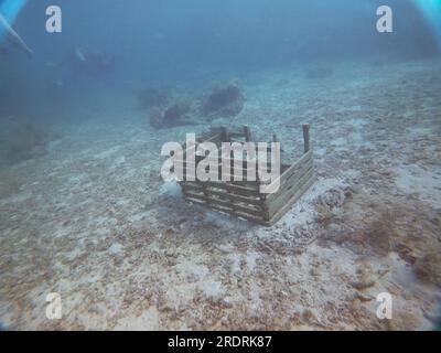 Underwater view of a broken lobster trap on the ocean floor Stock Photo