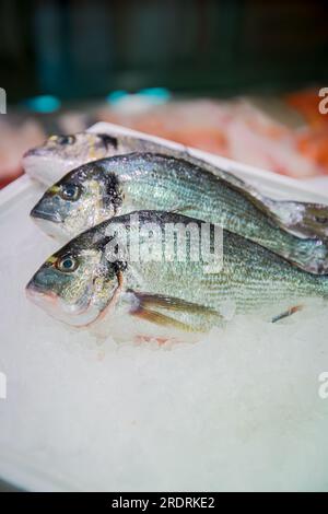 Gilt-head bream (dorade) on ice at the seafood booth at the fish market Stock Photo