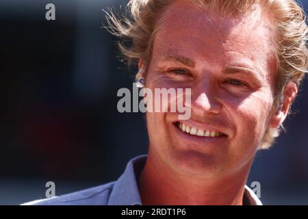 Budapest, Hungary. 22nd July, 2023. Nico Rosberg ahead of the F1 Grand Prix of Hungary at Hungaroring on July 22, 2023 in Budapest, Hungary. (Credit Image: © Beata Zawrzel/ZUMA Press Wire) EDITORIAL USAGE ONLY! Not for Commercial USAGE! Stock Photo