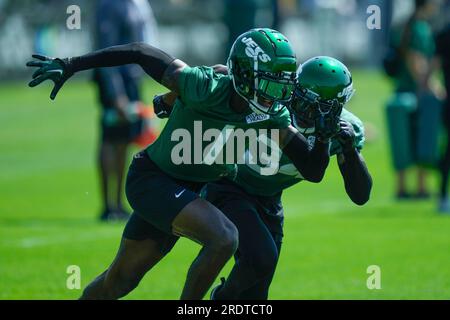 NFC wide receiver CeeDee Lamb (88) of the Dallas Cowboys back petals to  avoid having his flag pulled by AFC special teams Justin Hardee of the New  York Jets during the flag