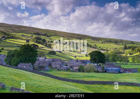 Wild flower, meadows around Thwaite village in upper Swaledale, England Stock Photo