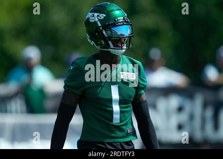 Sauce Gardner Wallpaper - iXpap in 2023  Ny jets, New york jets, Sports  pictures