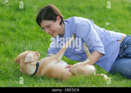 Woman with mixed breed dog Stock Photo