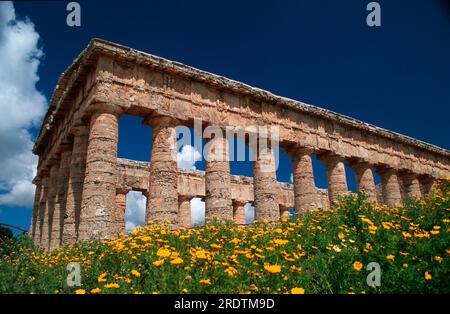 Greek Temple, Ruins, Valley of the Temples, Segesta, Sicily, Italy Stock Photo