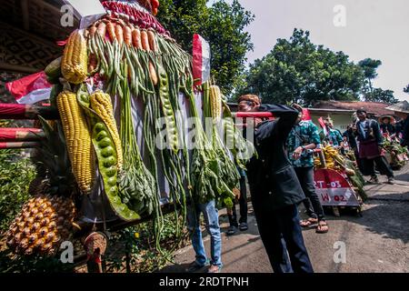 Residents do a procession by bringing natural products from agriculture and plantations called the earth alms tradition Stock Photo