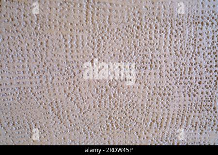 Old castle wall background. Gray cement wall with tiny dots. Latvia Bauska Castle. Stock Photo