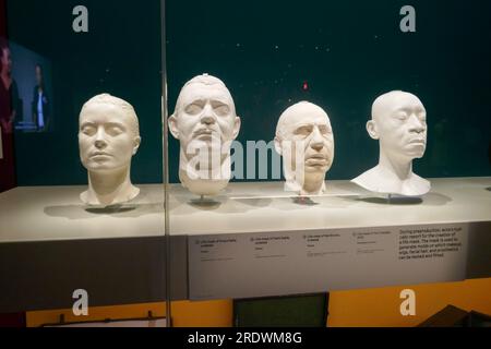 Los Angeles, California, USA 25th July 2022 Life Masks of Grace Kelly, Clark Gable, Mel Brooks and Don Cheadle at Academy Museum of Motion Pictures on July 25, 2022 in Los Angeles, California, USA. Photo by Barry King/Alamy Stock Photo Stock Photo